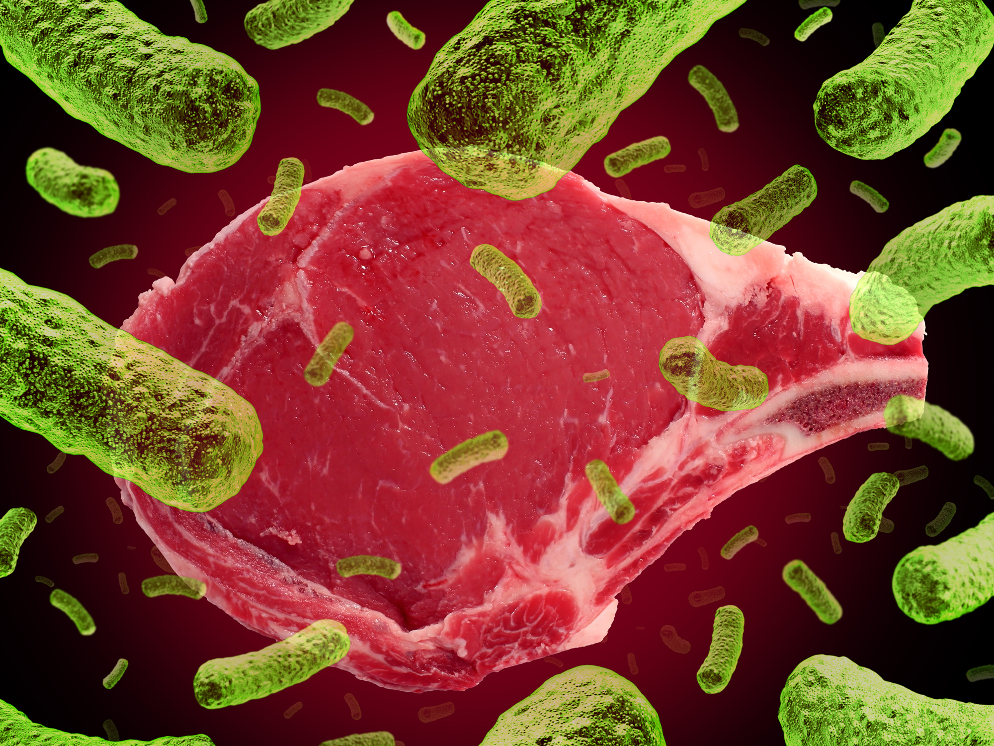 Пищевая микробиология