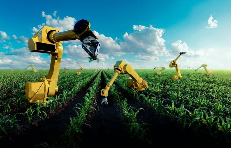 Робототехнические системы и комплексы в пищевой промышленности и отраслях агропромышленного комплекса