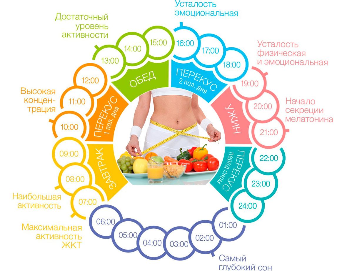 Основы физиологии питания и диетологии