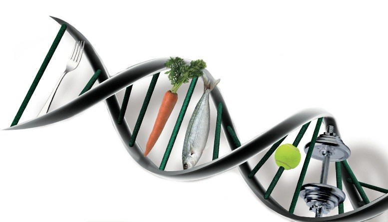 Биотехнология пищевых продуктов
