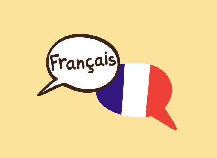 Второй иностранный язык (французский) 42.04.01